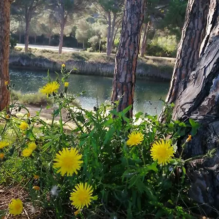 Il Rifugio Ad Lejlighed *